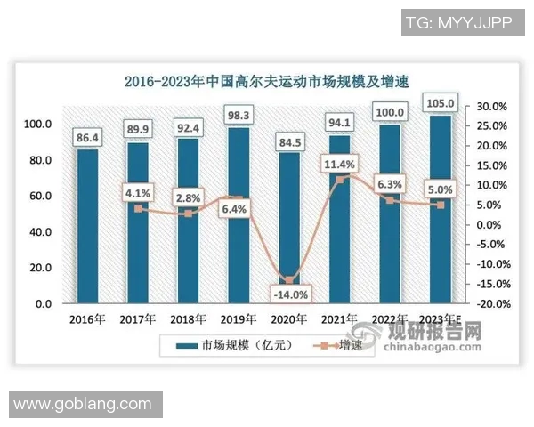 深圳羽毛球队比赛经验深度对比及其对未来发展的影响分析 深圳羽毛球队比赛经验深度对比及其对未来发展的影响分析