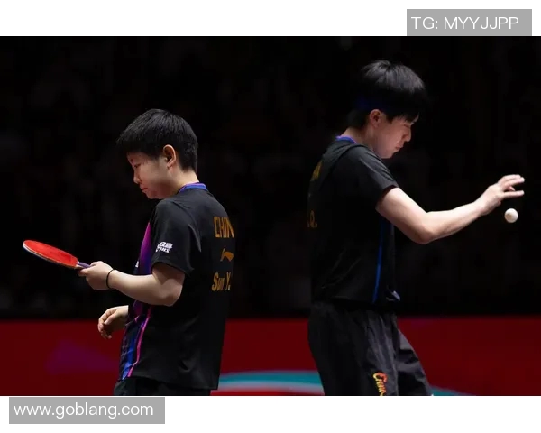 聚焦乒乓球：探讨杭州乒乓球队的实力与未来发展潜力