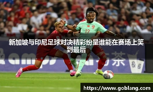 新加坡与印尼足球对决精彩纷呈谁能在赛场上笑到最后