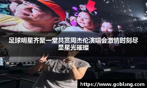 足球明星齐聚一堂共赏周杰伦演唱会激情时刻尽显星光璀璨